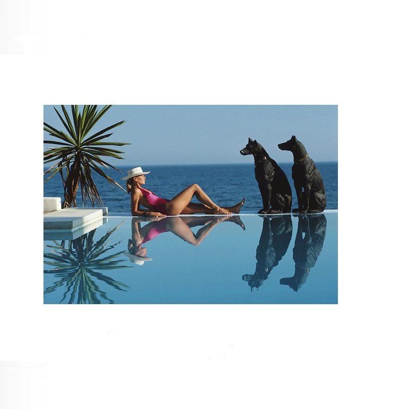 Retro Poolside Host Luxe leven - Luxury Lifestyle Picture recensie en prijs